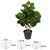 FOLHAGEM DECORATIVA TOQUE REAL C/POTE 60cm - Imagem 2
