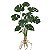 FOLHAGEM DECORATIVA COSTELA DE ADAO TOQUE REAL C/RAIZ 48cm - Imagem 1