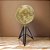 GLOBO TERRESTRE DECORATIVO BEGE DOURADO E MARROM 56,5CM - Imagem 3