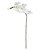 HASTE DE ORQUIDEA PHALAENOPSIS TOQUE REAL X5 BRANCO 65cm - Imagem 1