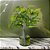 FOLHAGEM CALADIUM FORRACAO TOQUE REAL 30cm - Imagem 2