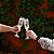 TACA CHAMPAGNE POLICARBONATO  CLASSIC  150ML - KENYA - Imagem 2