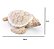 ESCULTURA DECORATIVA TARTARUGA EM RESINA 20CM - Imagem 3