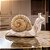 ESCULTURA DECORATIVA CARACOL EM RESINA ESTILO PALHA 25CM - Imagem 2
