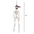 ESQUELETO DECORATIVO FACA CABECA 40CM P/PENDURAR HALLOWEEN - Imagem 4