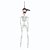 ESQUELETO DECORATIVO FACA CABECA 40CM P/PENDURAR HALLOWEEN - Imagem 1