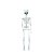 ESQUELETO DECORATIVO CHARLIE 75CM HALLOWEEN - Imagem 1