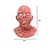 MASCARA DE ZUMBI DECORATIVA EM DECOMPOSICAO LATEX HALLOWEEN - Imagem 2