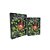 CJ DE LIVROS CAIXA NATURAL SCIENCE VERDE E PRETO 2PCS - Imagem 1
