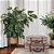 CJ MALETAS DE MADEIRA DECOR COM FIVELA E TECIDO CINZA 2PCS - Imagem 2
