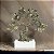 ESCULTURA  DE ARVORE POLIRESINA DOURADO 24X8X26CM FLORARTE - Imagem 2
