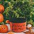 CESTINHA HAPPY HALLOWEEN LARANJA E PRETA 14CM - Imagem 2