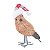 ENFEITE PASSARO NATALINO DECOR COM GORRO 1PC 11X6X24CM - Imagem 1