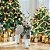 RENA NATAL EM PE SISAL (VERDE BEGE) COM CACHECOL 45CM - Imagem 2