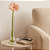 VASO TULIPA SOLITARIO VIDRO (TRANSPARENTE) 25cm DECORATIVO - Imagem 2