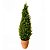 MINI ARVORE NATALINA NO VASINHO - 55cm - Imagem 1