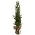MINI ARVORE DE NATAL COM BASE JUTA - 60CM - Imagem 1