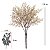 BUQUE DE GYPSO COM 18 BOTOES CREME 33CM FLORARTE - Imagem 3