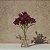 BUQUE ASTROMELIA EM CETIM 15 BOTOES VERMELHO OUTONO 34CM - Imagem 2