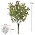 FOLHAGEM GRASS PLASTICO 35 RAMOS VERDE OUTONO 33CM FLORARTE - Imagem 3