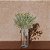 FOLHAGEM PODOCARPUS COM POWDER PLASTICO VERDE OUTONO 30CM - Imagem 2