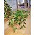 FIO COBRE FOLHAGEM GREEN BRANCO QUENTE 50L 5M - Imagem 2