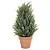 MINI PINHEIRO NATALINO VASO VERDE E MARROM 30CM - Imagem 1