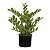 FOLHAGEM ZAIOCULCA REAL TOQUE COM POTE VERDE 50CM - Imagem 1