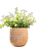 TRIO DE VASO KINZA TERRA DECORATIVO - Imagem 4