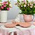 PETISQUEIRA DECORATIVA COELHO NA FOLHA SALMAO LUIZ SALVADOR - Imagem 4