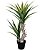 ARVORE PERMANENTE FOLHAGEM YUCCA X2 NO POTE VERDE - Imagem 1