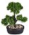 ARVORE PERMANENTE BONSAI X3 VERDE  32CM - Imagem 1