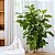 ESCULTURA DECORATIVA PERNAS EM RESINA OFF WHITE 15,5CM - Imagem 2