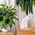 ESCULTURA DECORATIVA EM RESINA MAOS OFF WHITE 26CM - Imagem 2