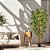 ARVORE PL BAMBU TOQUE REAL X7 VERDE 180CM - Imagem 2