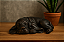 ESCULTURA CACHORRO DECORATIVO RESINA BRONZE E PRETO 15,4CM - Imagem 2