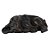 ESCULTURA CACHORRO DECORATIVO RESINA BRONZE E PRETO 15,4CM - Imagem 1
