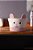 CESTA CAT 22x22x14CM BRANCA/ROSA POLIESTER LYOR - Imagem 3