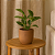 VASO RUSTICO DECORATIVO EM CERAMICA TERRACOTA 13X14CM - Imagem 2