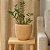 VASO ORGANICO DECORATIVO EM CERAMICA TERRACOTA 23X25CM - Imagem 2