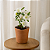 VASO ORGANICO DECORATIVO EM CERAMICA TERRACOTA 23X21CM - Imagem 2