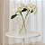 VASO DECORATIVO EM VIDRO INCOLOR G 30X21CM - Imagem 2