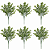Kit 6 Hastes Folhagem PODOCARPUS permanente verde 30cm - Imagem 1