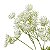Kit 3 FLORES PERMANENTE HASTE FLOR MIMOSA BRANCA 82 CM - Imagem 4