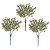 KIT 3 FOLHAGENS PODOCARPUS COM POWDER PLASTICO VERDE OUTONO 30CM - Imagem 1