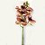 ORQUIDEA GALHO (78CM)-MESCLADO - Imagem 2