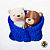 Casal de Ursinhos - Imagem 8