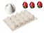 MOLDE DE SILICONE MINI MORANGOS 15 CAVIDADES - Imagem 1