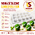 FORMA DE SILICONE SEMIESFERA 4CM 15 CAVIDADES - Imagem 3