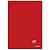 Caderno Nova Universitário Capa Dura 48 Folhas Contém 5 Cadernos Vermelhos - Imagem 1